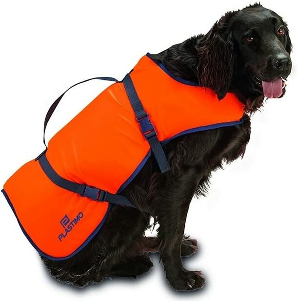 Lifejacket For Dog Medium