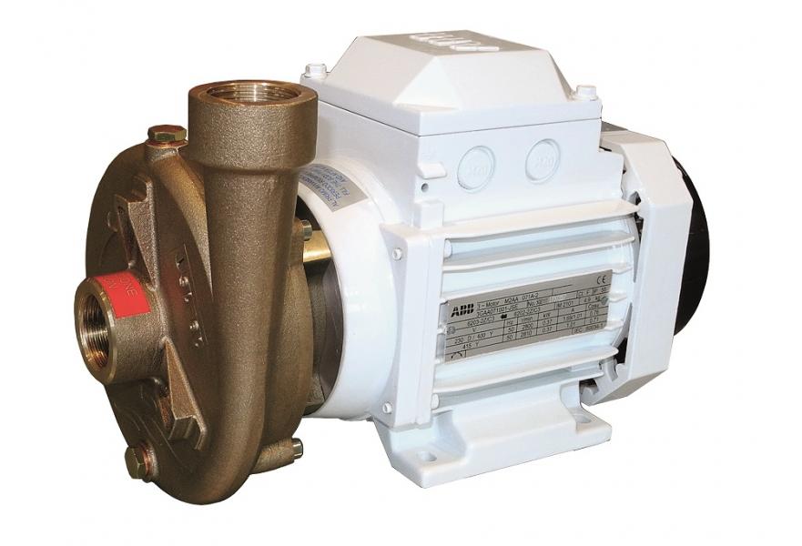 Pump CB 22-95 230V 50/60Hz 1Ph 0.55kW 2P Centrigugal pump with Body and Impeller in Bz Mechanical seal in high quality