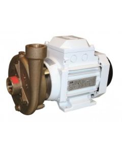 Pump CB 22-95 230V 50/60Hz 1Ph 0.55kW 2P Centrigugal pump with Body and Impeller in Bz Mechanical seal in high quality
