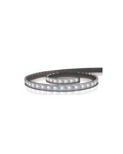 Light strip LED LUX SL180 5m IP68 CRGBW 180 LEDS per meter Driver & controller not included